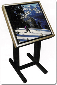 Ski Back-Lit Poster