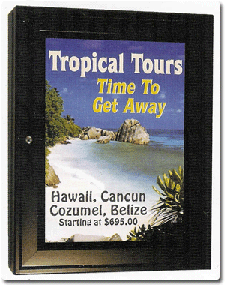 Tropical Poster Case